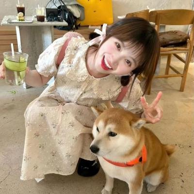 糊涂特务野娇娃